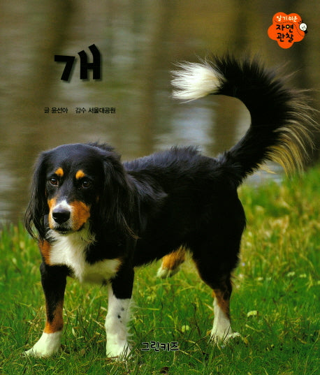 개(알기쉬운 자연관찰 11)(양장본 HardCover)