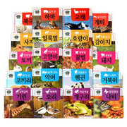 꼬마지팡이 자연동화 세트(전20권)
