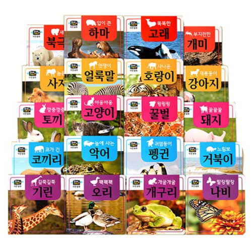꼬마지팡이 자연동화 세트(전20권)