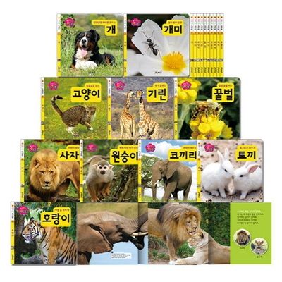 생각콩콩 자연동화 10권 세트(보드북)(전10권)