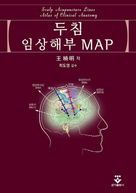 두침 임상해부 MAP