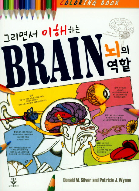 Brain 뇌의 역할(그리면서 이해하는)