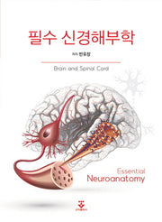 필수 신경해부학