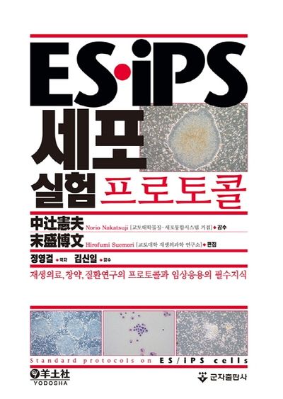 ES.iPS 세포실험프로토콜