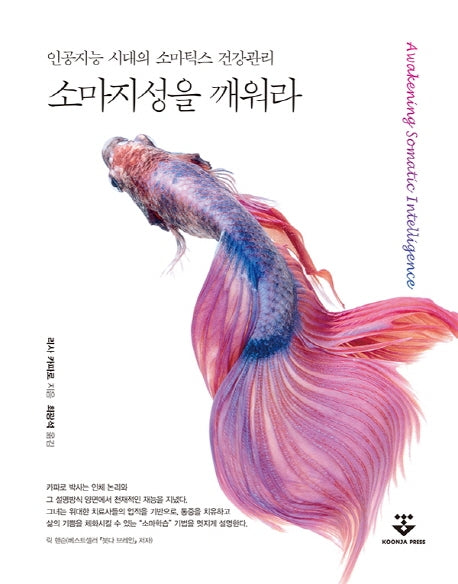 소마지성을 깨워라
