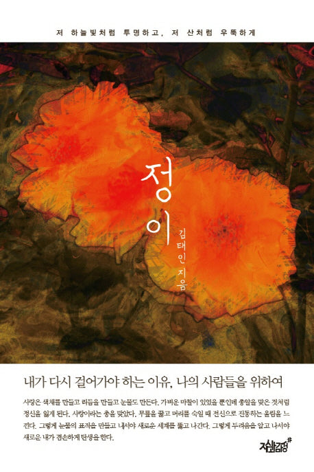 정이