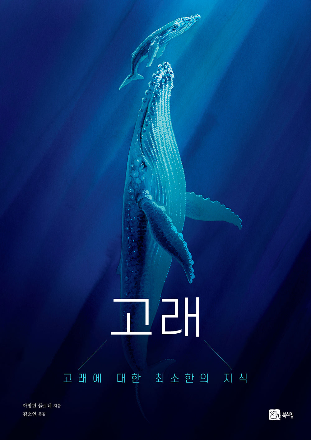 고래(양장본 Hardcover)