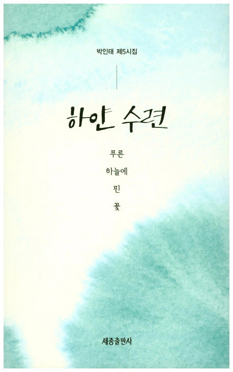 하얀 수련