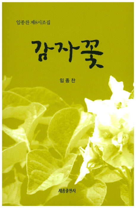 감자꽃
