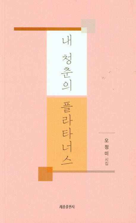 내 청춘의 플라타너스