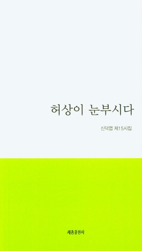 허상이 눈부시다