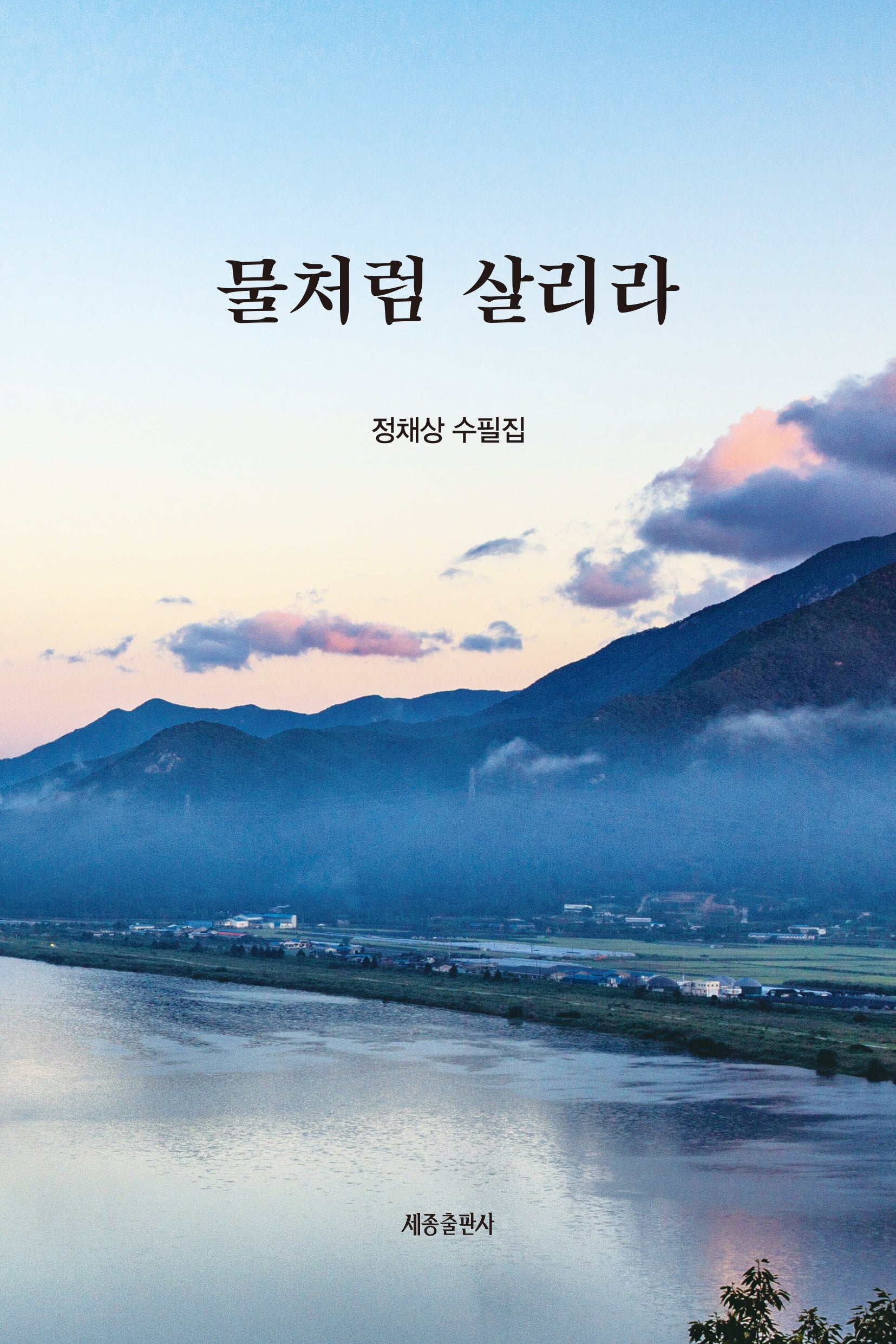 물처럼 살리라