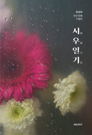 시우일기