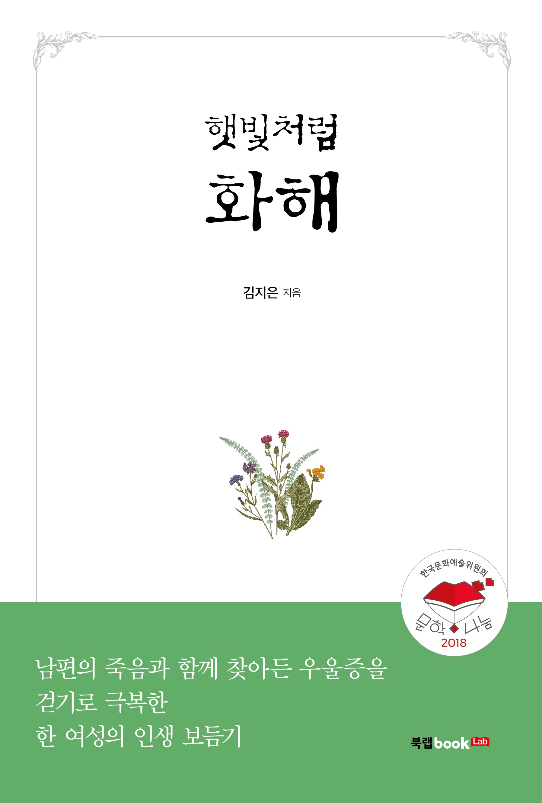 햇빛처럼 화해