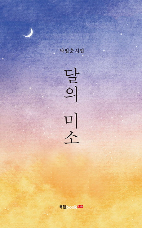 달의 미소