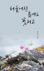 허물어진 틈에도 꽃피고