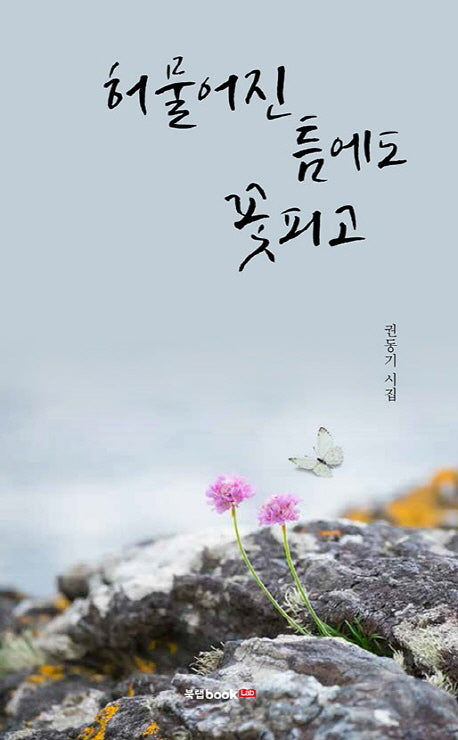 허물어진 틈에도 꽃피고
