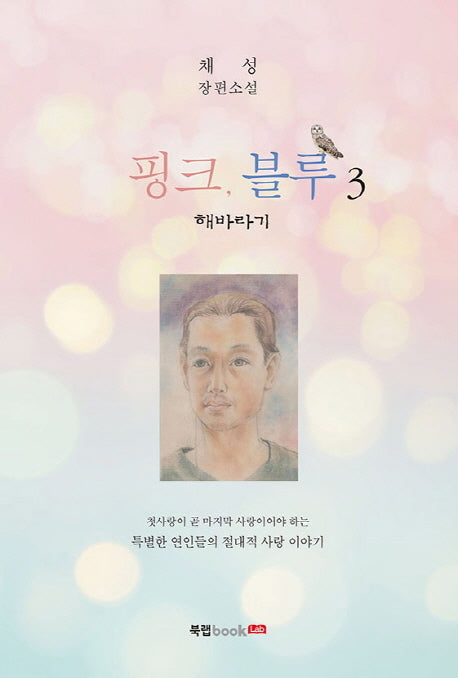 핑크, 블루 3(완결)