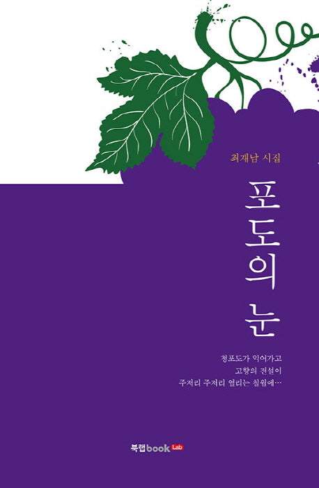 포도의 눈