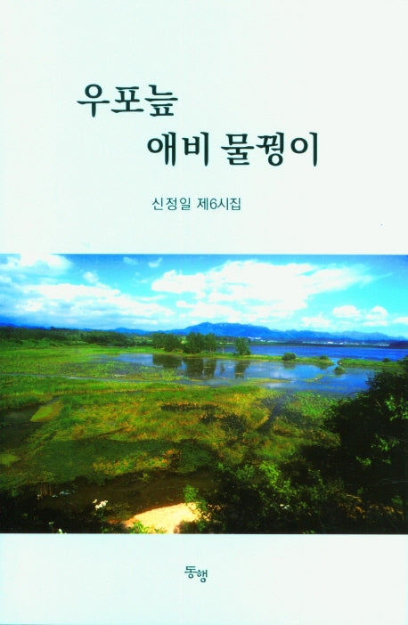 우포늪 애비 물꿩이(양장본 Hardcover)