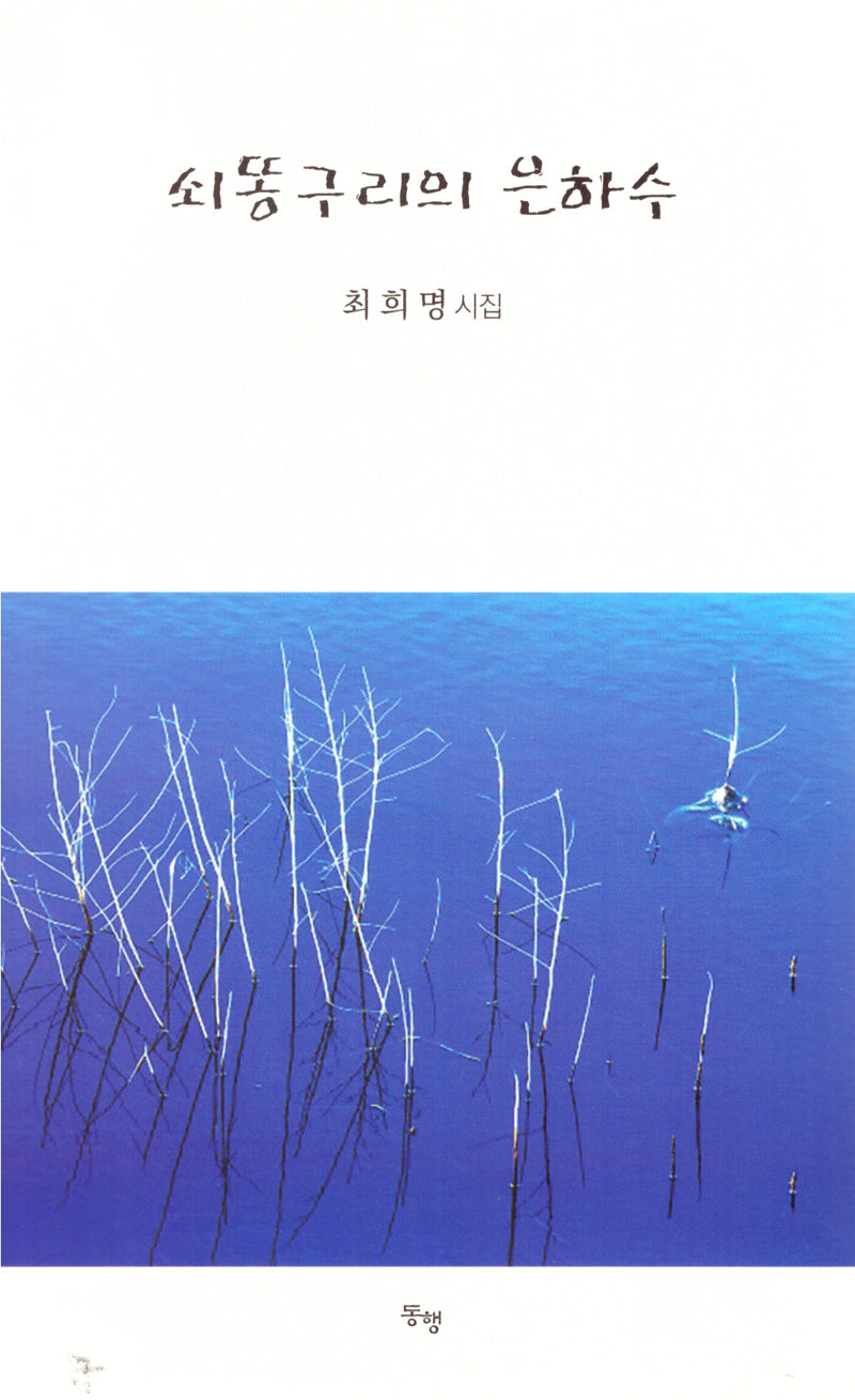 쇠똥구리의 은하수