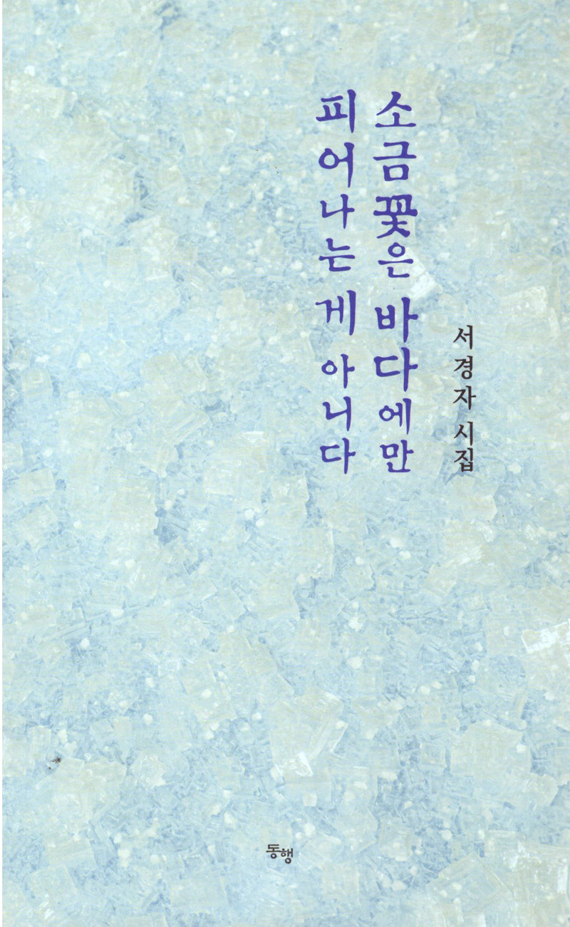 소금꽃은 바다에만 피어나는게 아니다