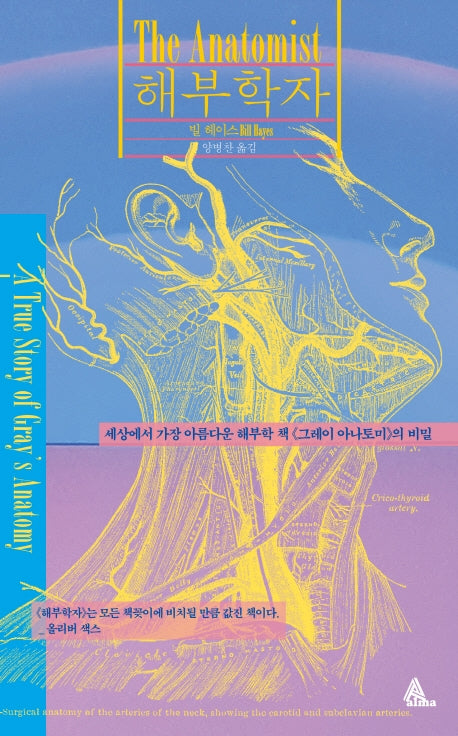 해부학자