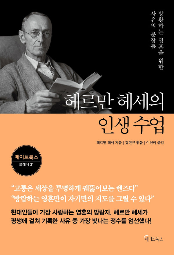 헤르만 헤세의 인생 수업(메이트 북스 클래식 31)