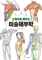 스케치로 배우는 미술해부학(쉽게 배우는 만화 67)