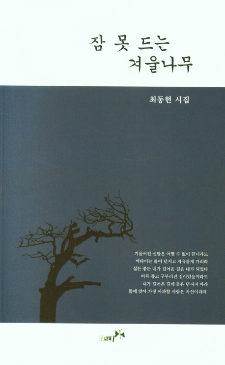 잠 못 드는 겨울나무