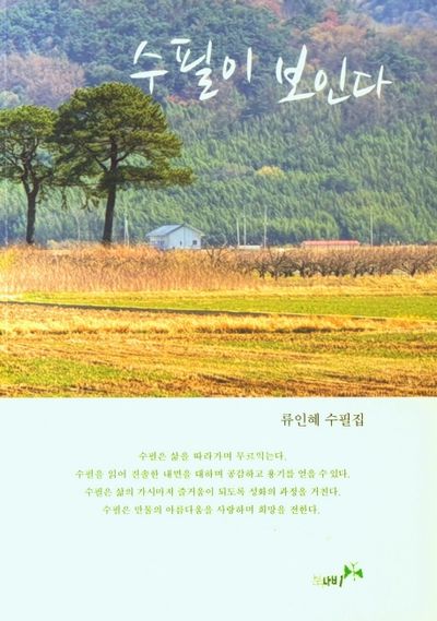 수필이 보인다