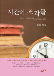 시간의 조각들