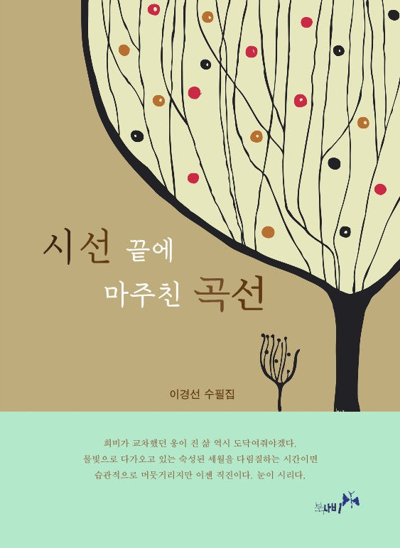 시선 끝에 마주친 곡선