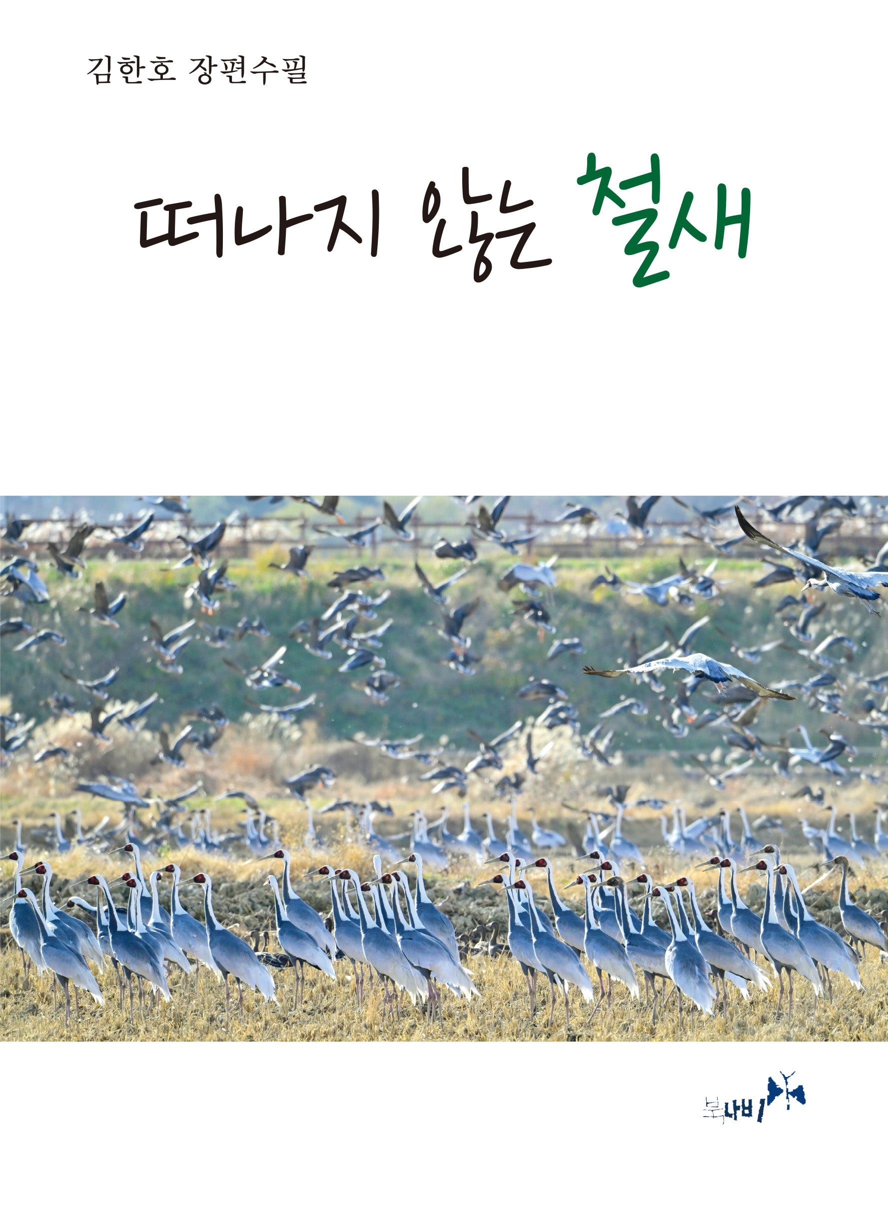 떠나지 않는 철새
