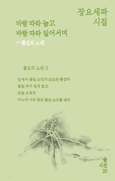 바람 따라 눕고 바람 따라 일어서며(솔 시선 20)