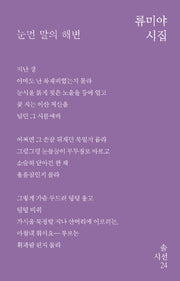 눈먼 말의 해변(솔시선 24)