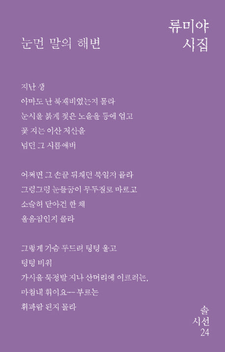 눈먼 말의 해변(솔시선 24)