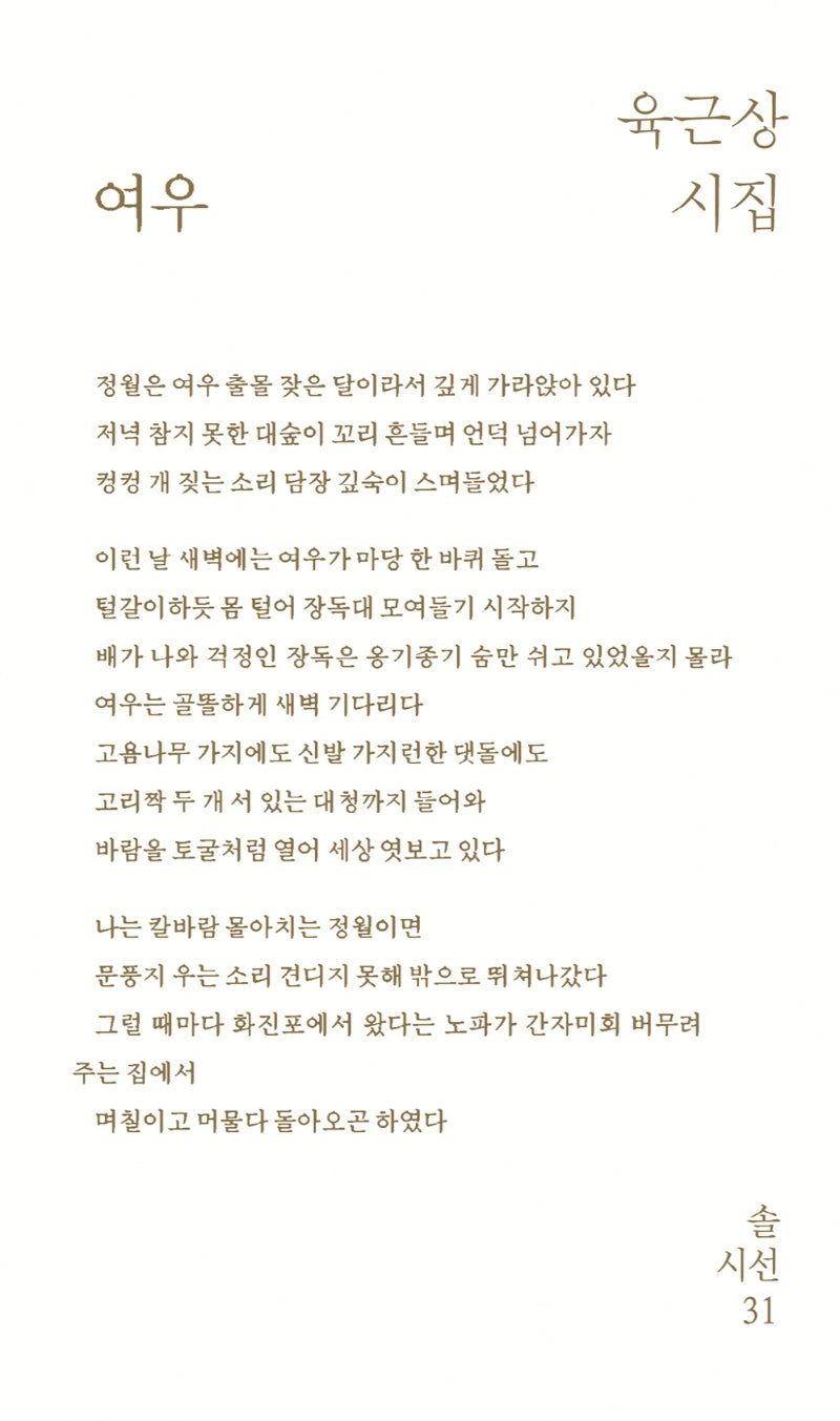여우(솔시선 31)