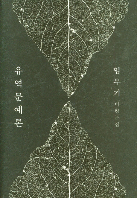 유역문예론(양장본 Hardcover)