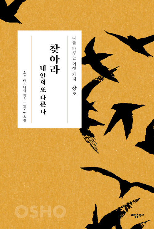 창조 : 찾아라 내 안의 또 다른 나