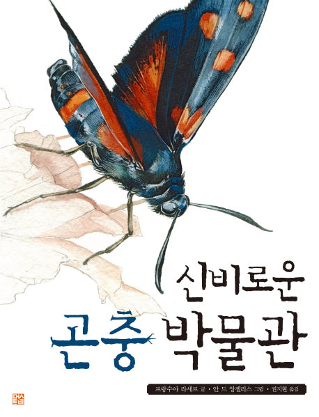 신비로운 곤충 박물관(양장본 Hardcover)