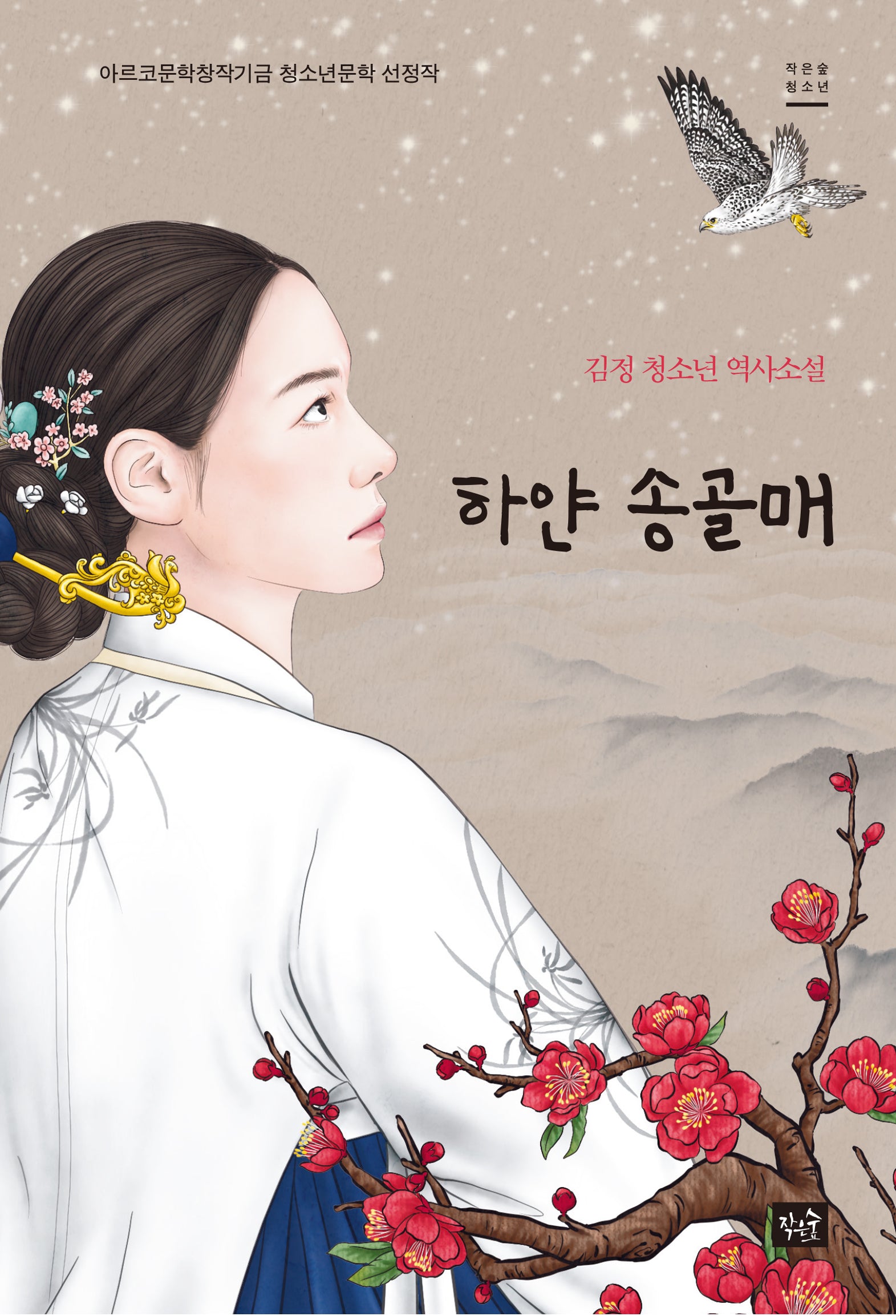 하얀 송골매(작은숲 청소년)