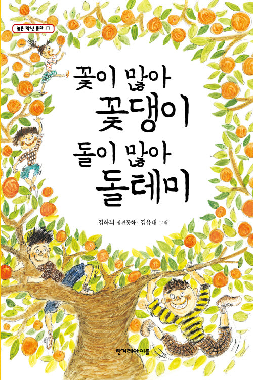 꽃이 많아 꽃댕이 돌이 많아 돌테미(높은 학년 동화 17)