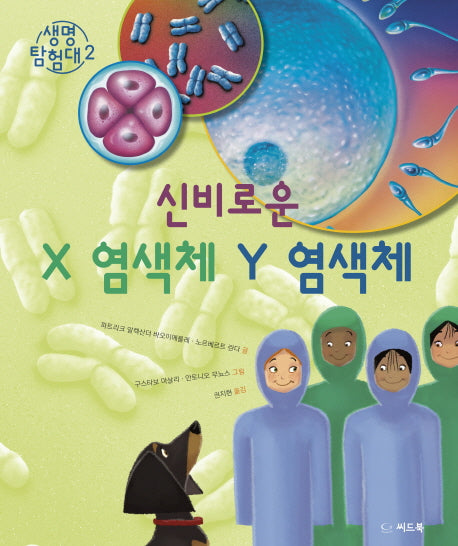 신비로운 X 염색체 Y 염색체(생명 탐험대 2)(양장본 HardCover)