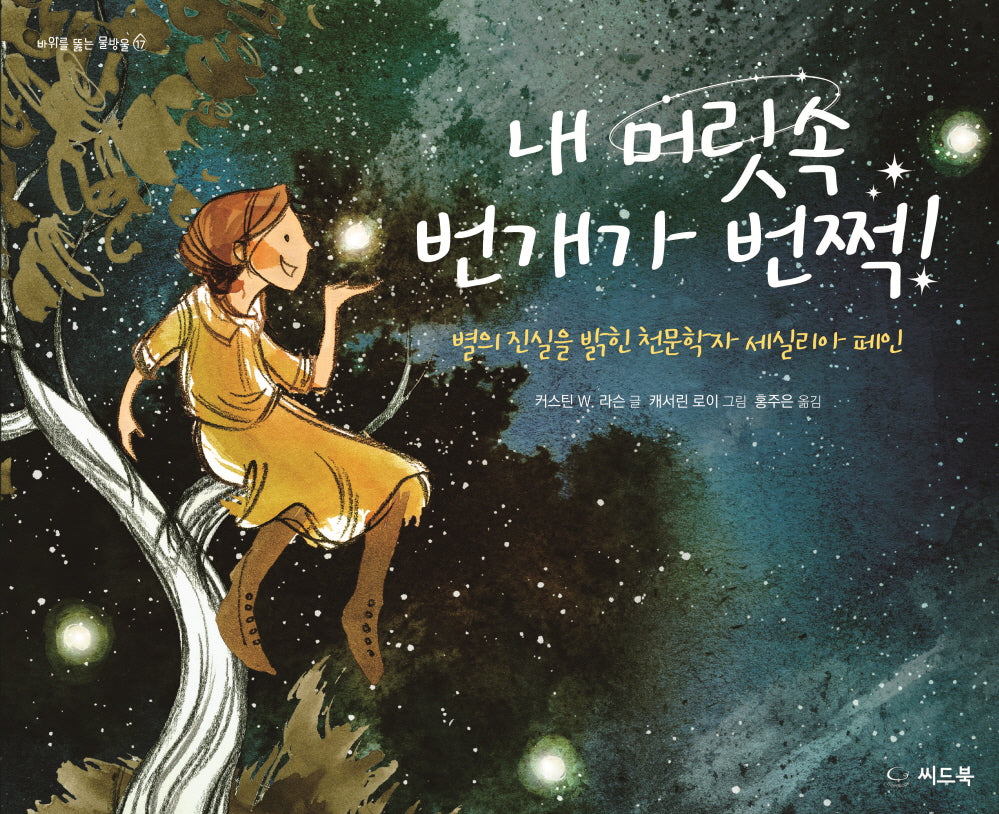내 머릿속 번개가 번쩍!(바위를 뚫는 물방울 17)(양장본 Hardcover)
