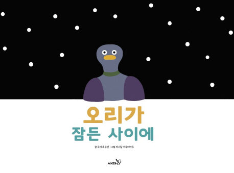 오리가 잠든 사이에(양장본 Hardcover)