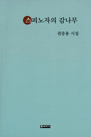 스피노자의 감나무