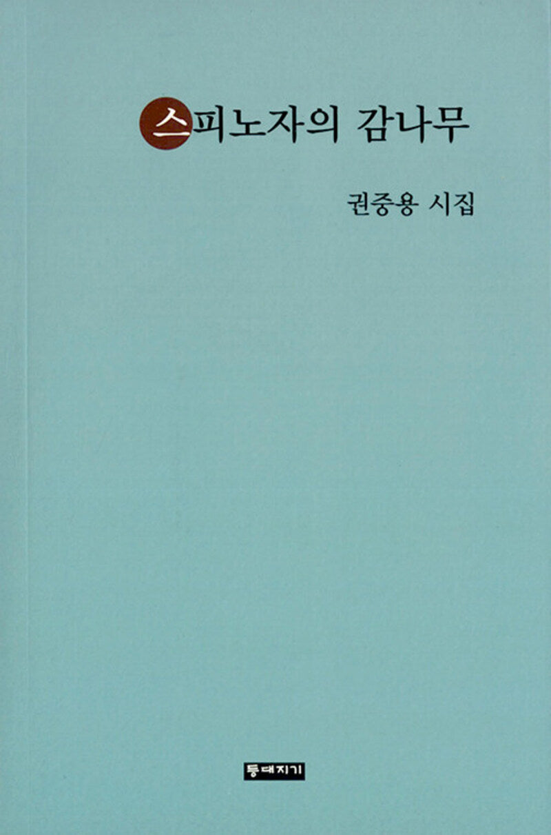 스피노자의 감나무
