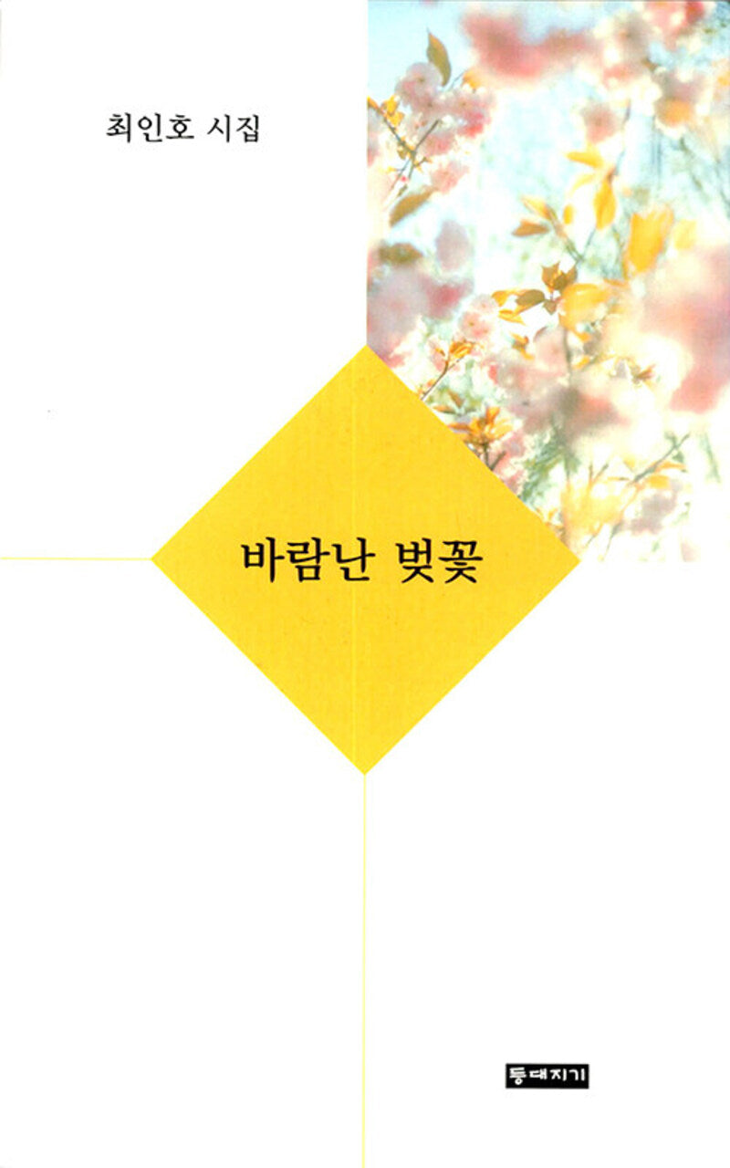 바람난 벚꽃