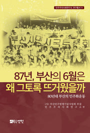 87년, 부산의 6월은 왜 그토록 뜨거웠을까(민주주의사회연구소 연구총서 11)(반양장)